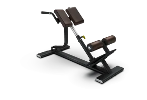 Intenza Free Weight Line Back Extension Træningsbænk